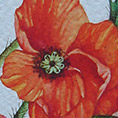 Acquarelli Papaveri